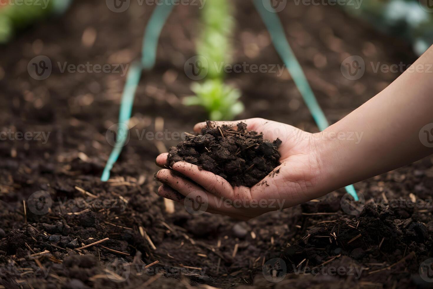 Hand holds rich soil, symbolizing gardenings nurturing essence photo