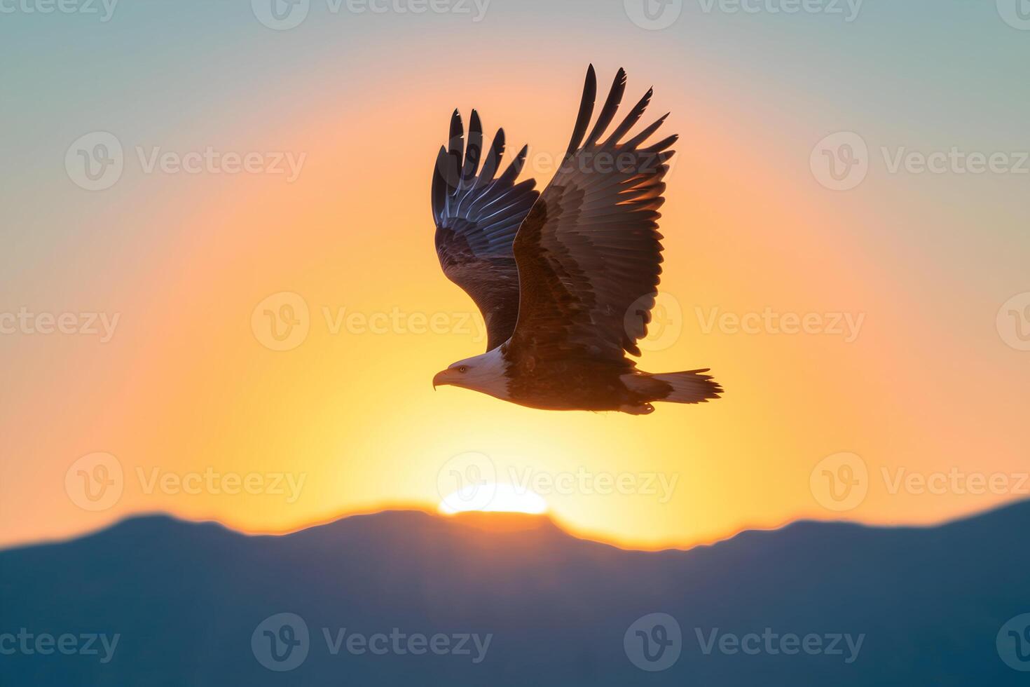 Eagle soars against glowing sunset, mountains enhance dramatic natural beauty photo