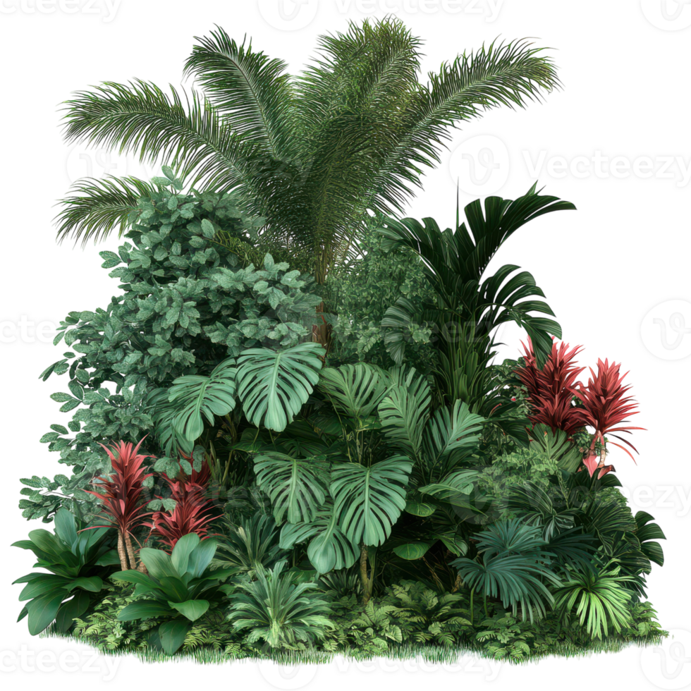 Dense Jungle with Exotic Plants for Nature Lovers Transparent Background. png
