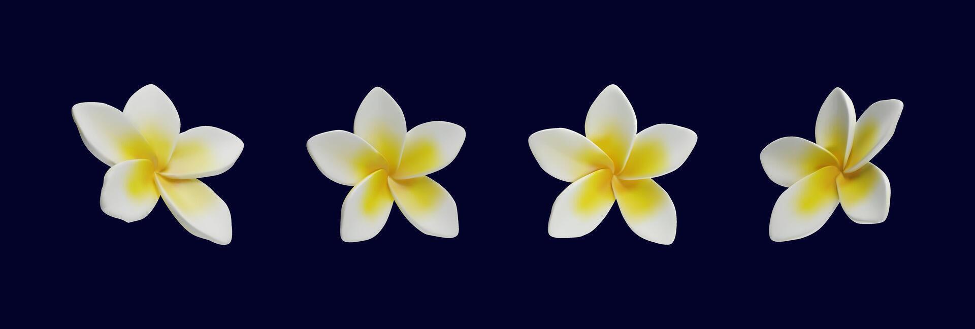 3d render set Plumeria tropical flowers of exotic flowering plants. Realistic blossom collection of Hawaiian frangipani petals. Thailand and Bali national symbol in clay style. Amazing vacation vector