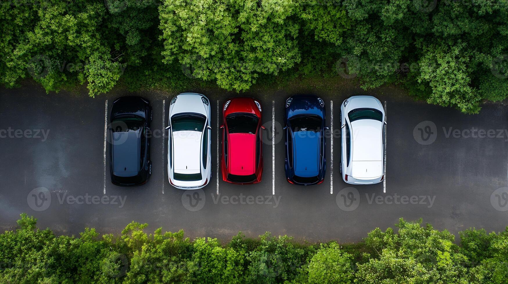 Aerial view of diverse cars parked between green trees in scenic natural environment under blue sky photo