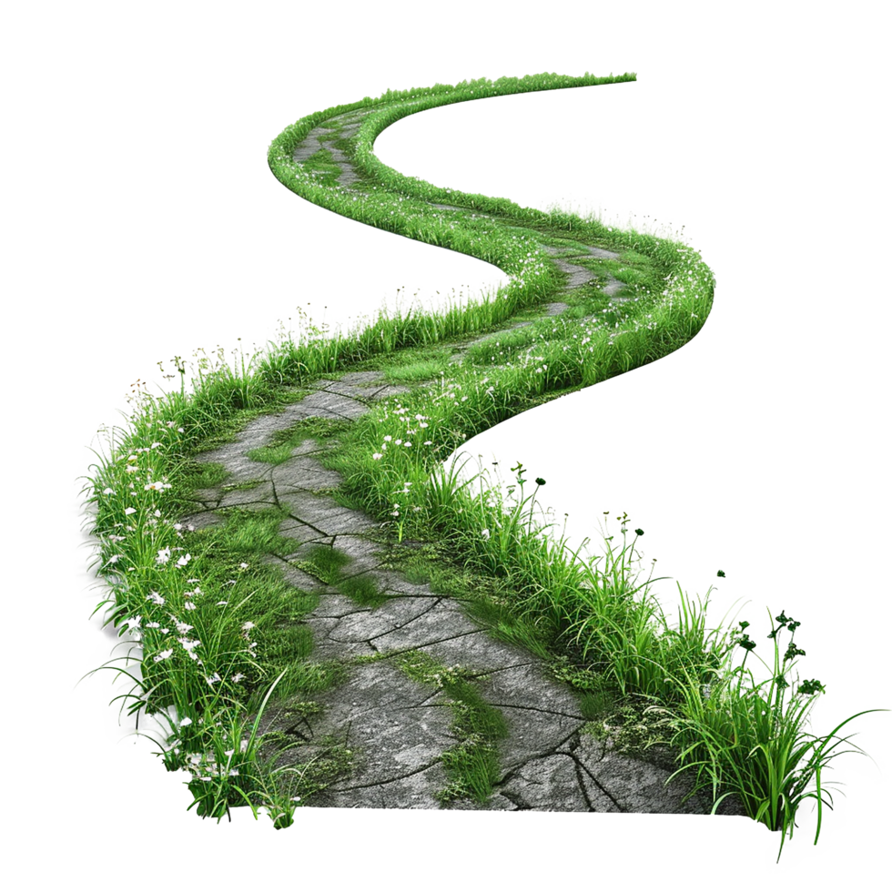 Winding Stone Path Grassy Meadow Nature Scene png