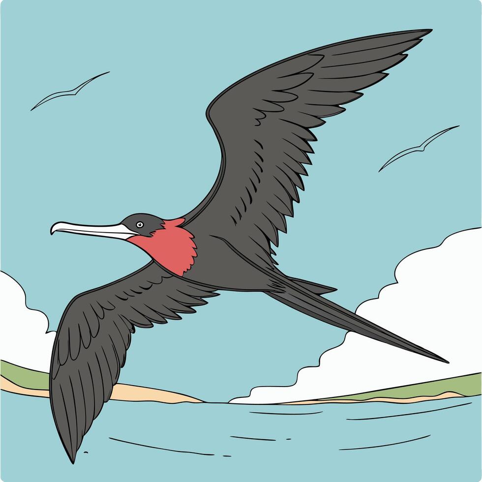 The illustration of frigatebird bird vector