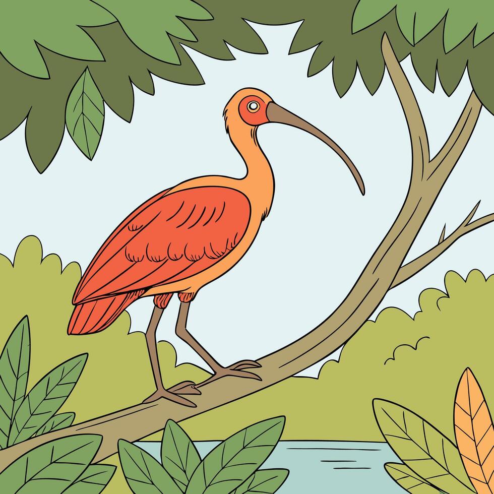 The illustration of scarlet ibis bird vector