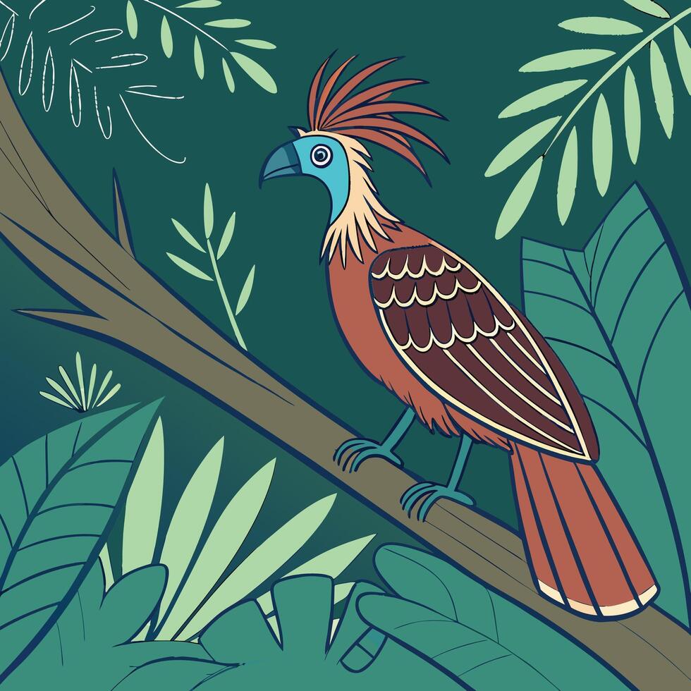 The illustration of hoatzin bird vector