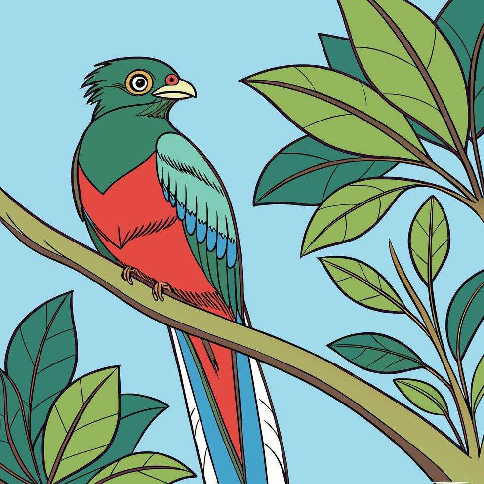The illustration of trogon bird vector
