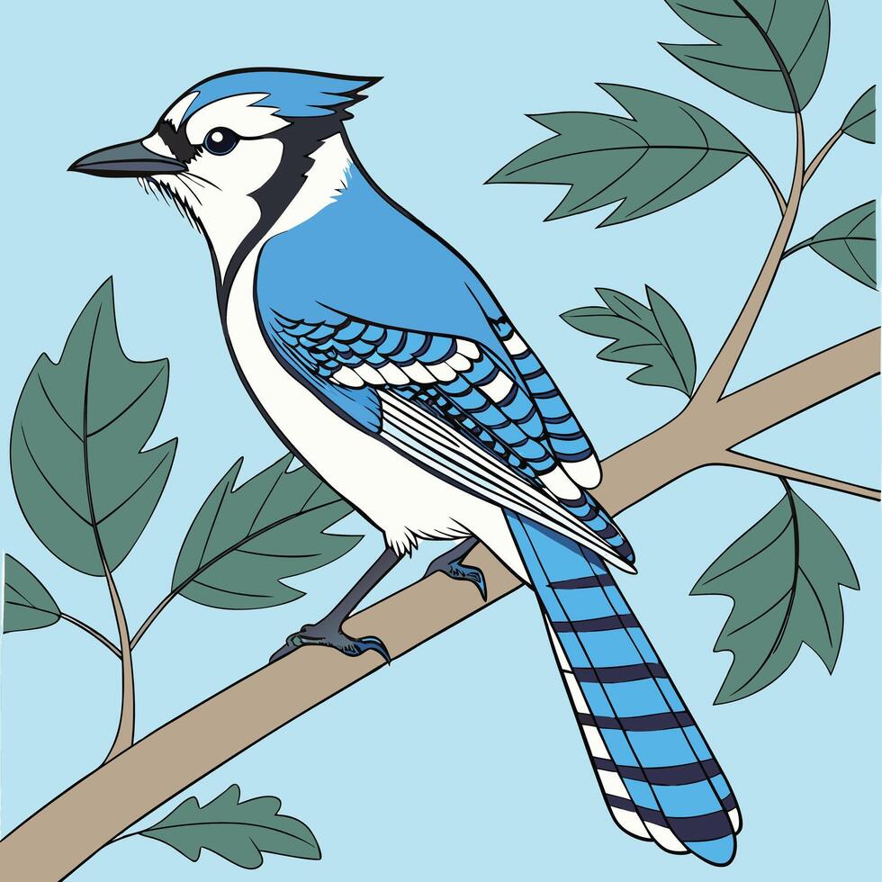 The illustration of blue jay bird on tree branches vector