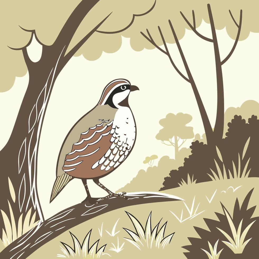 The illustration of bobwhite quail bird vector