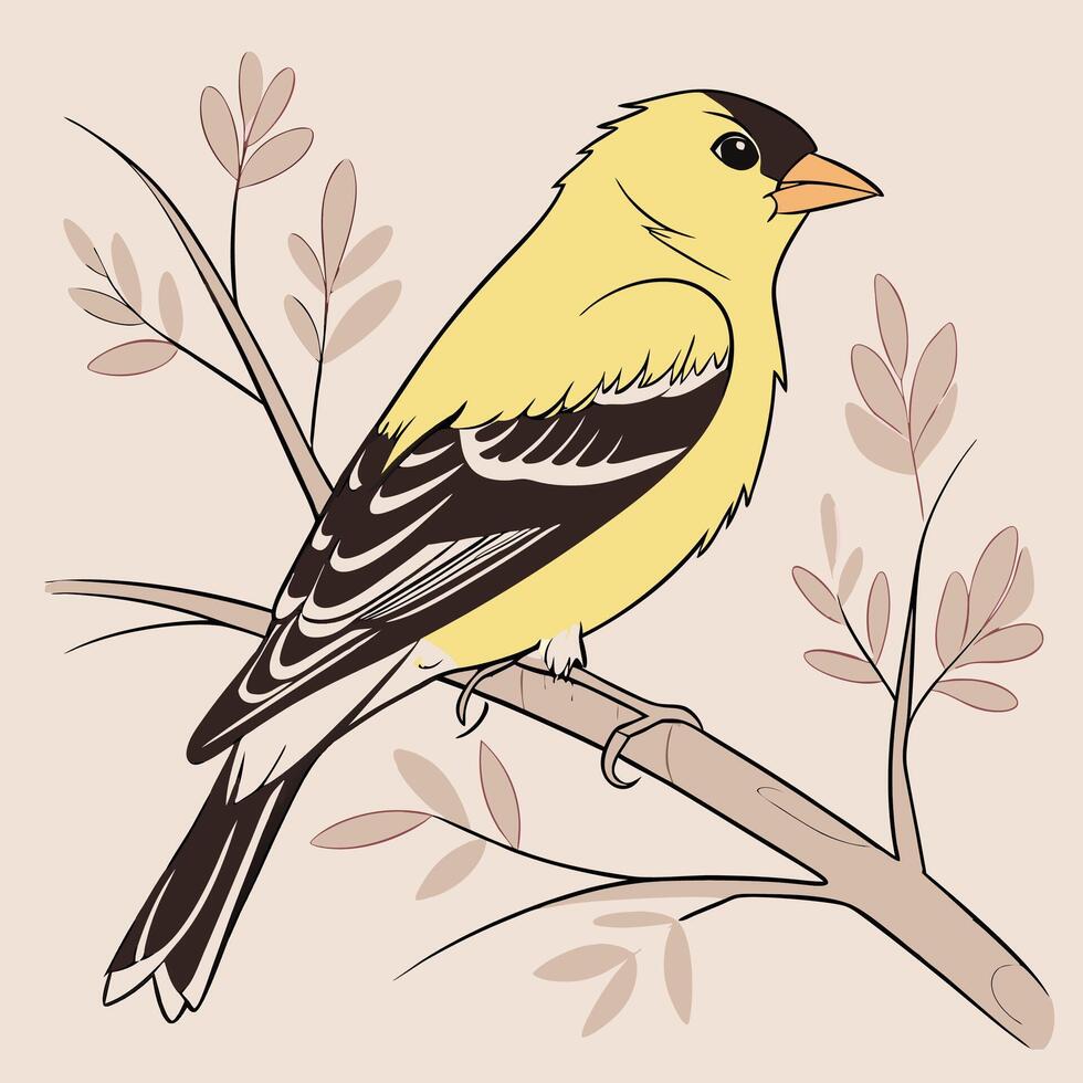 The illustration of goldfinch bird vector