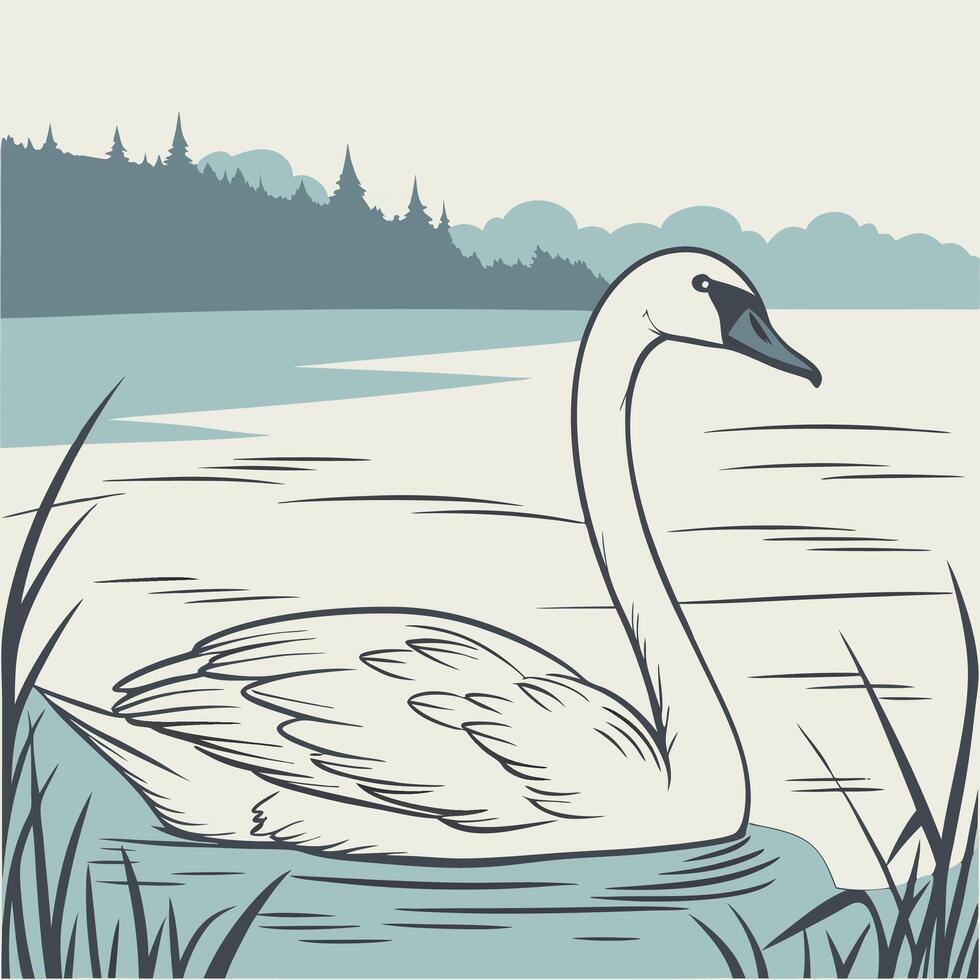 The illustration of trumpeter swan bird vector