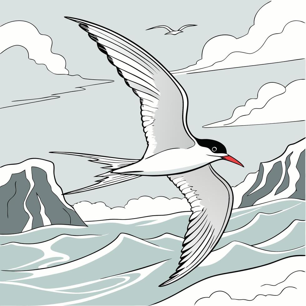 The illustration of arctic tern bird vector