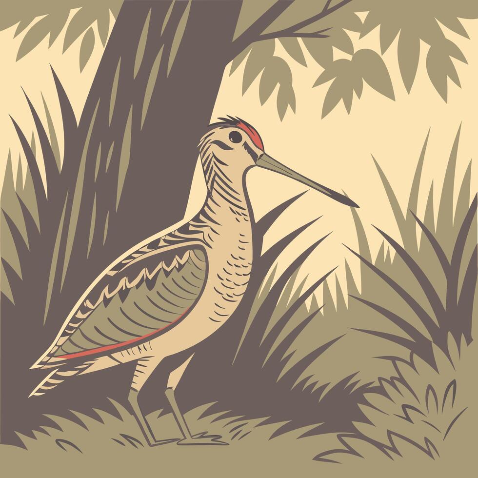 The illustration of woodcock bird vector