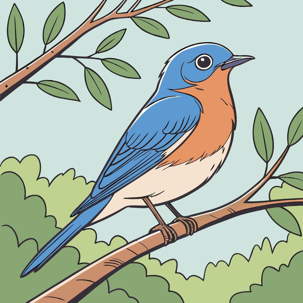 The illustration of eastern bluebird bird vector