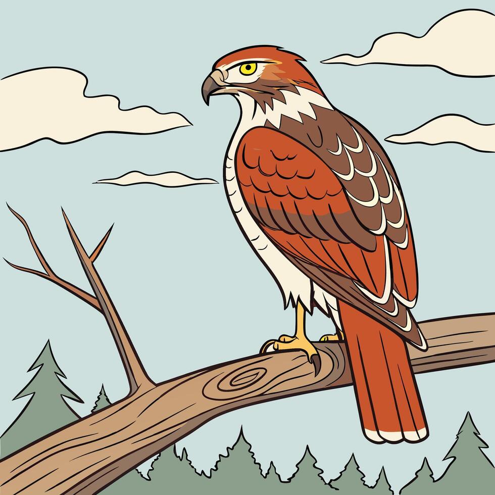 The illustration of red tailed hawk bird vector