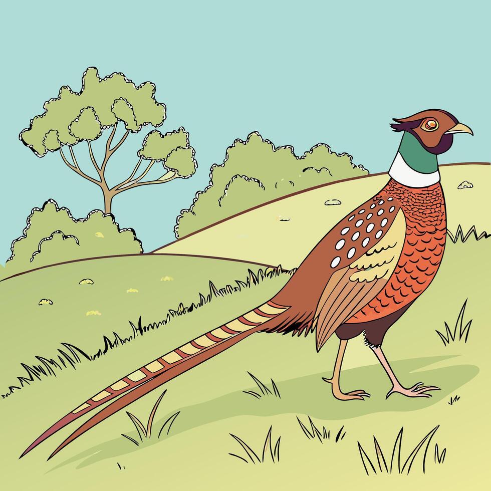 The illustration of ring necked pheasant bird vector