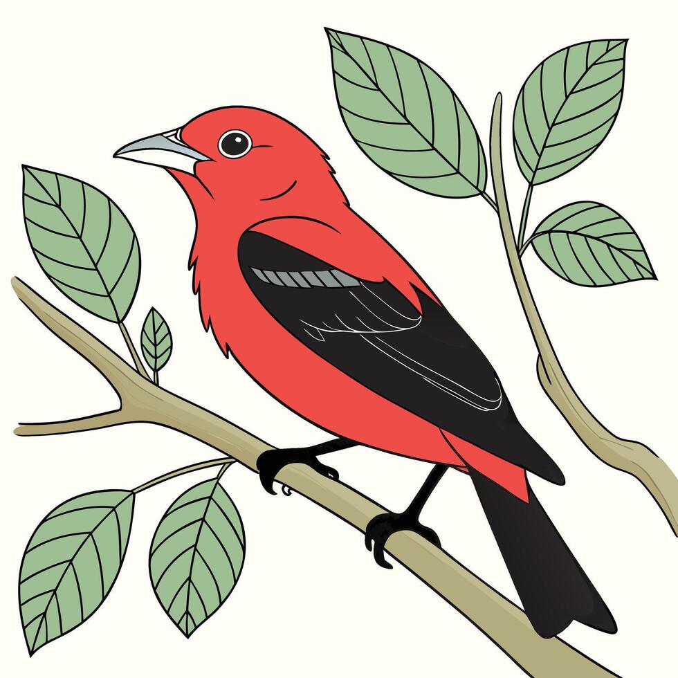 The illustration of scarlet tanager bird vector