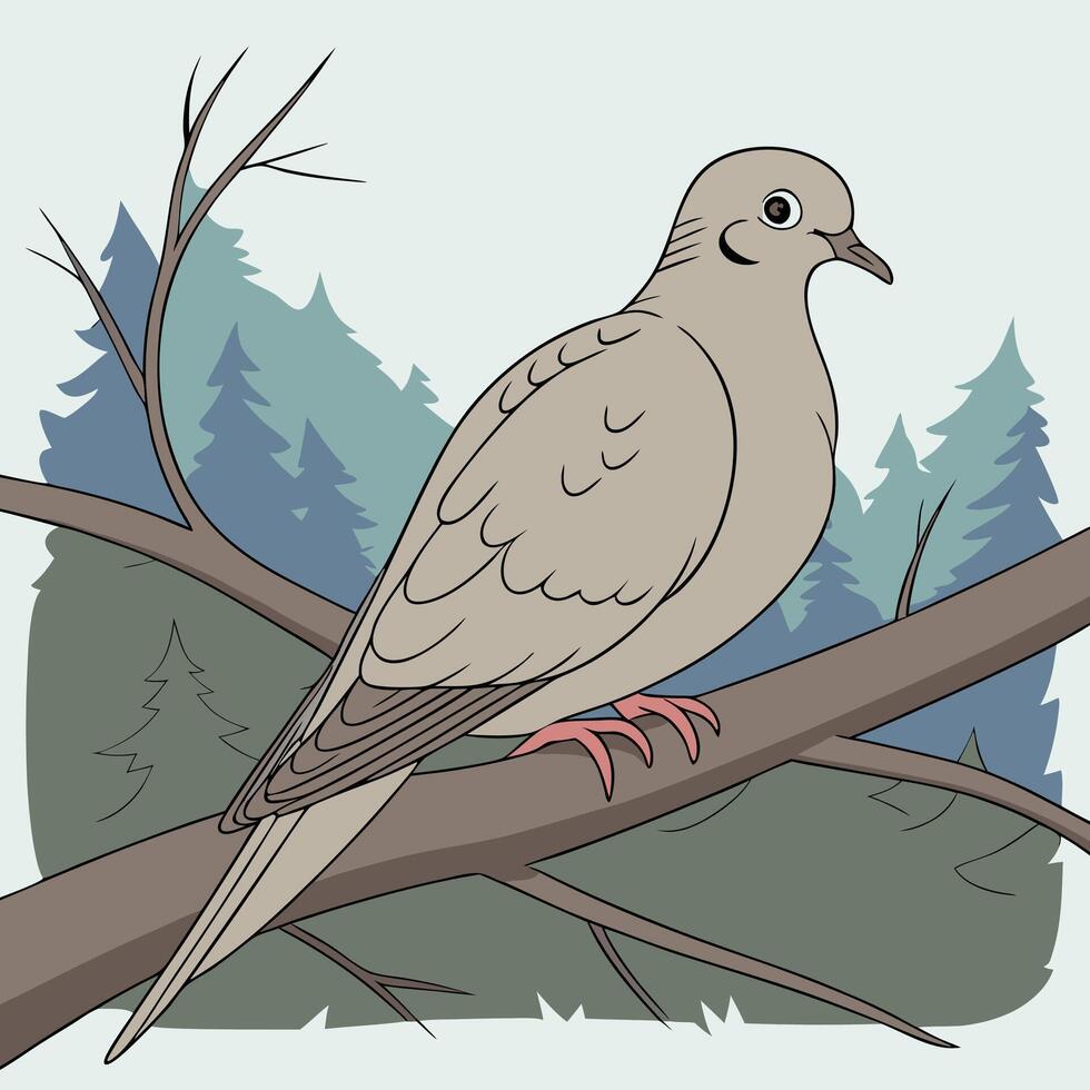 The illustration of mourning dove bird vector