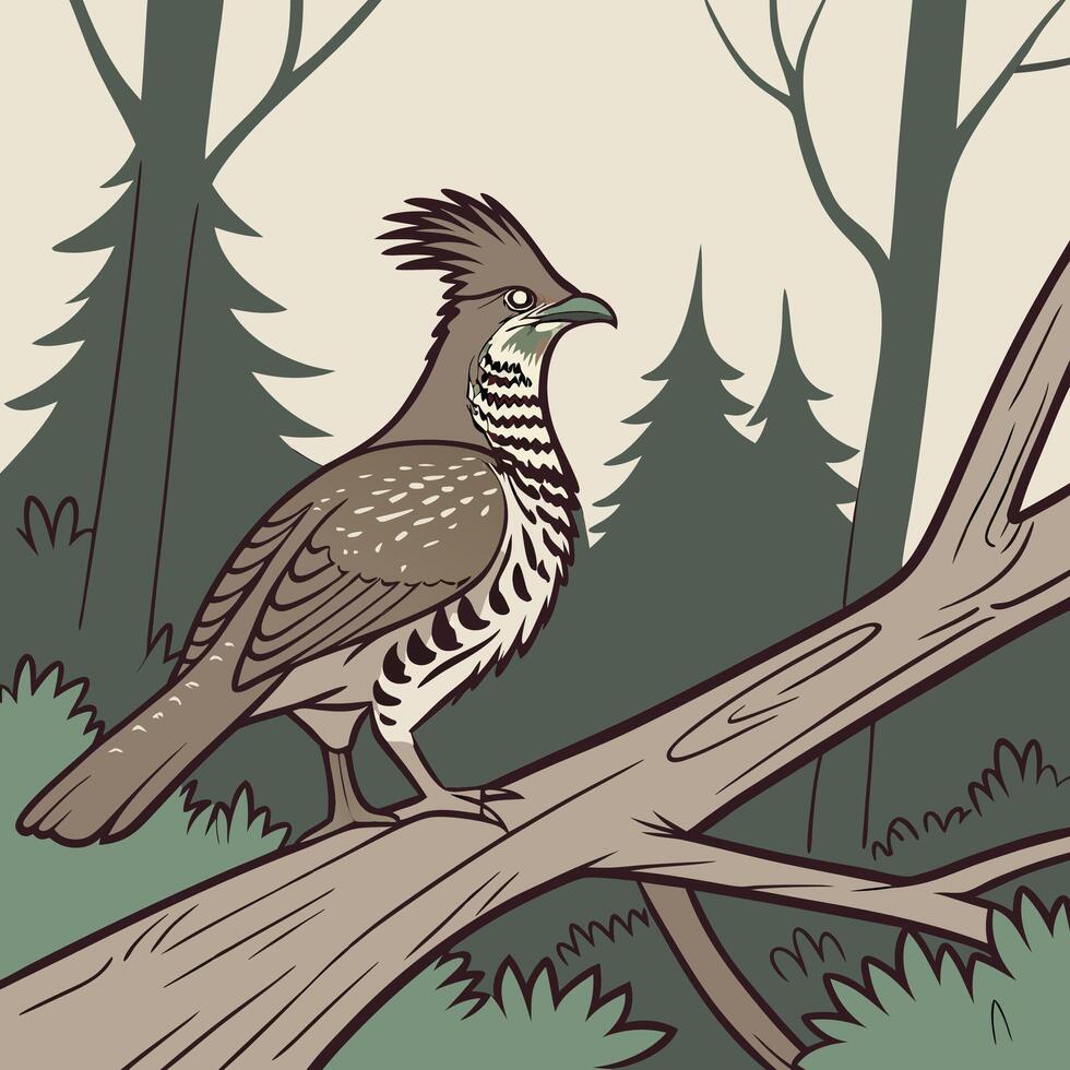 The illustration of ruffed grouse bird vector