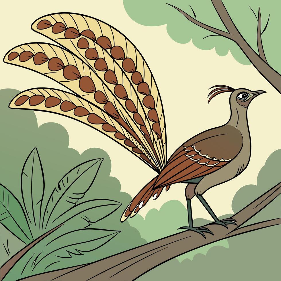 The illustration of lyrebird bird vector
