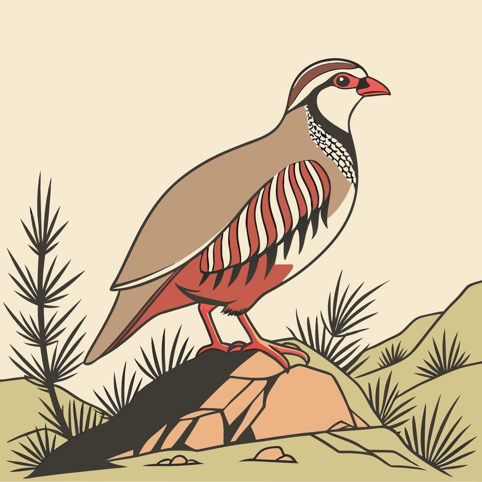 The illustration of chukar partridge bird vector