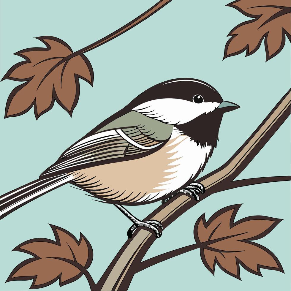 The illustration of black chickadee bird vector