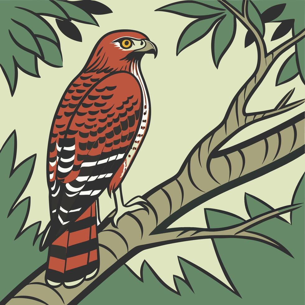 The illustration of red shouldered hawk bird vector