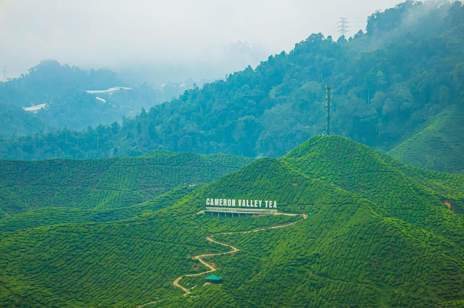 Pahang, Malaysia, 2024 - Aerial view of tea plantation on a hill, surrounded by mountains and forest, with a vibrant rural atmosphere, Cameron highlands, Malaysia. photo
