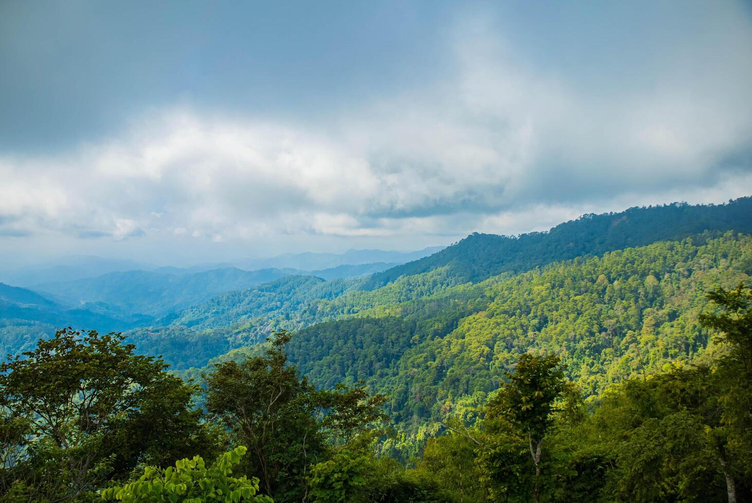 A cloudy, tree-covered day with mountains. photo