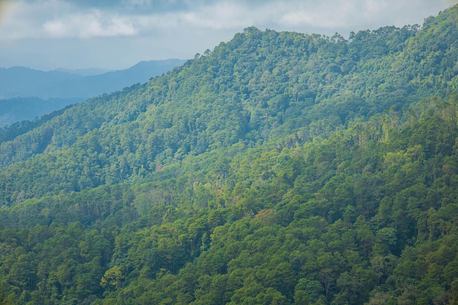 The scene of the top of the mountains in the background. photo