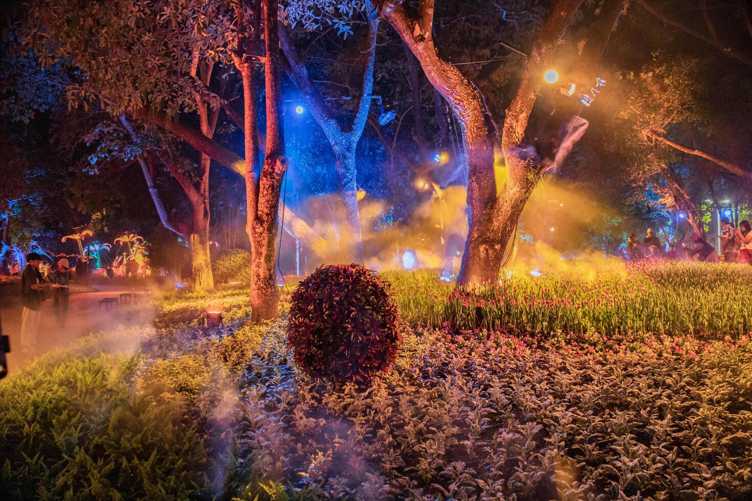 An fascinated winter night in Chiang Rai, Thailand, starring an illuminated tree underneath a starry sky. photo