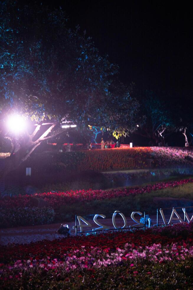 Light festival in Flora park with mountains in the background, Chiang Rai, Thailand. photo