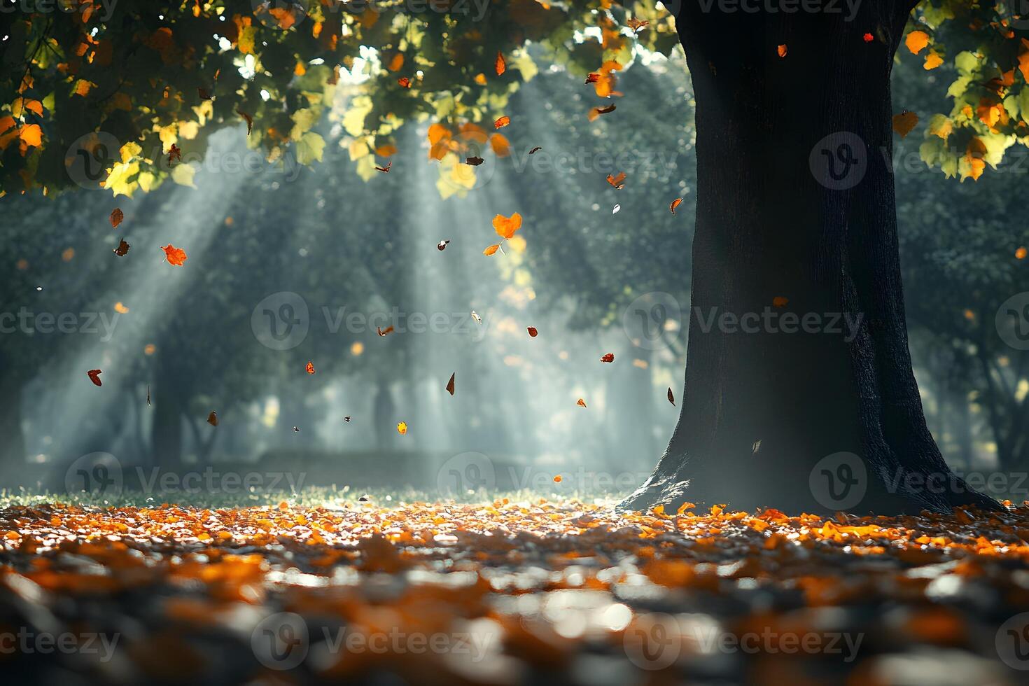 Autumn Leaves Falling From Tree In Sunlight photo