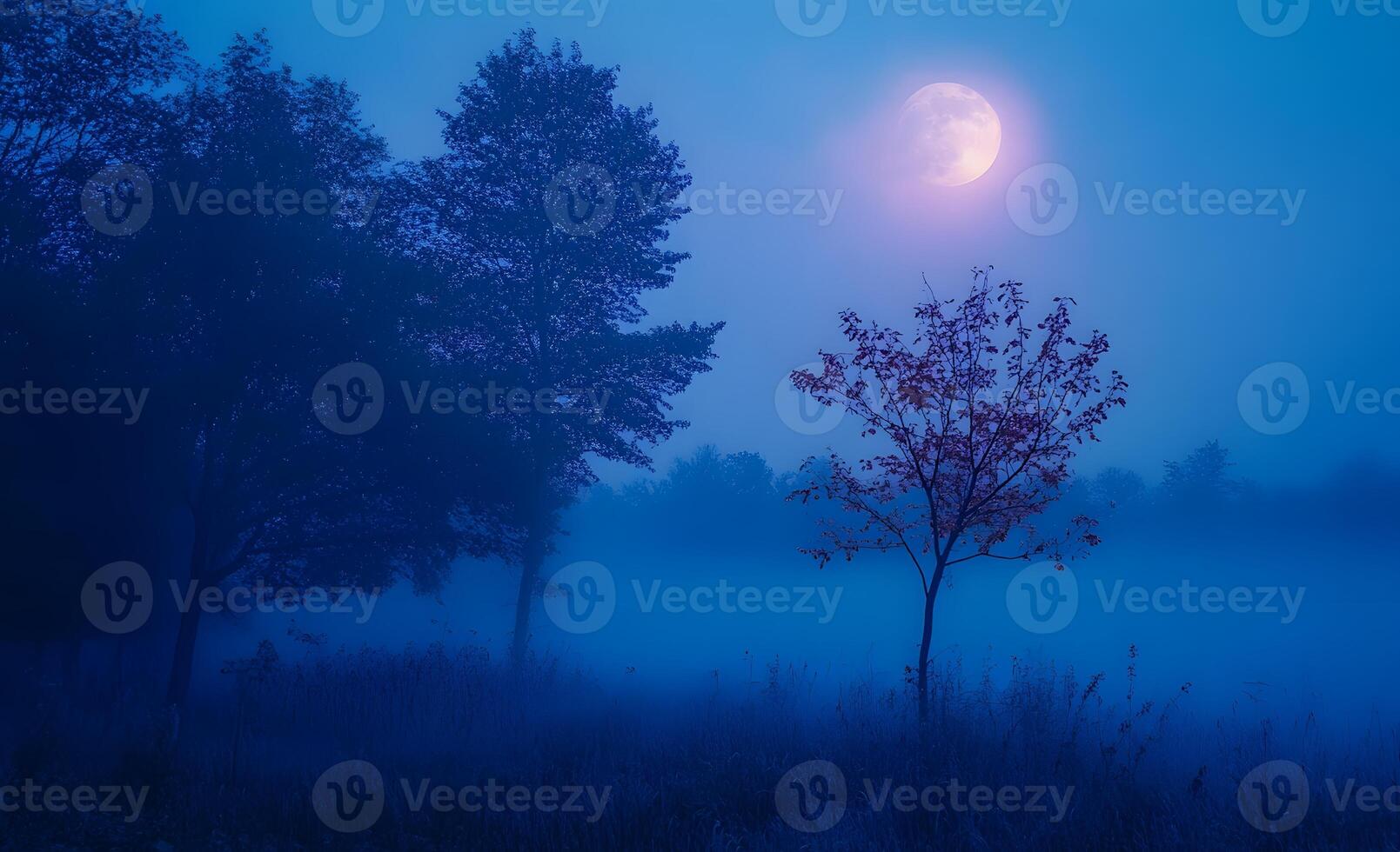 Moonlit Foggy Forest Scene With Trees And Grass photo