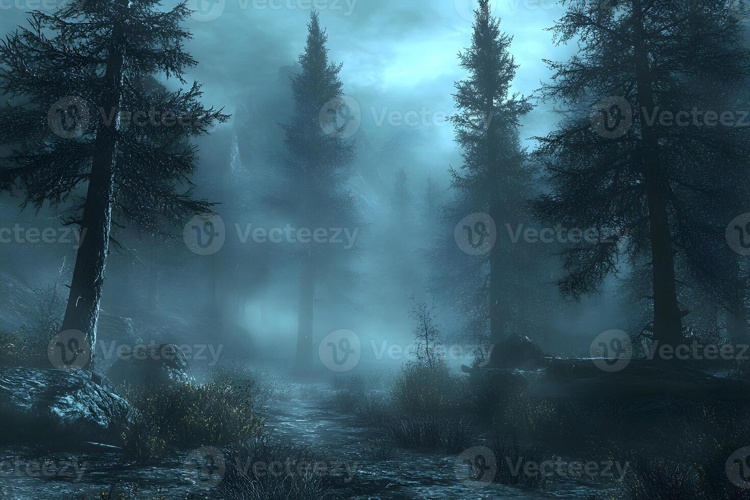 A Misty Night Path Through A Dark Forest photo