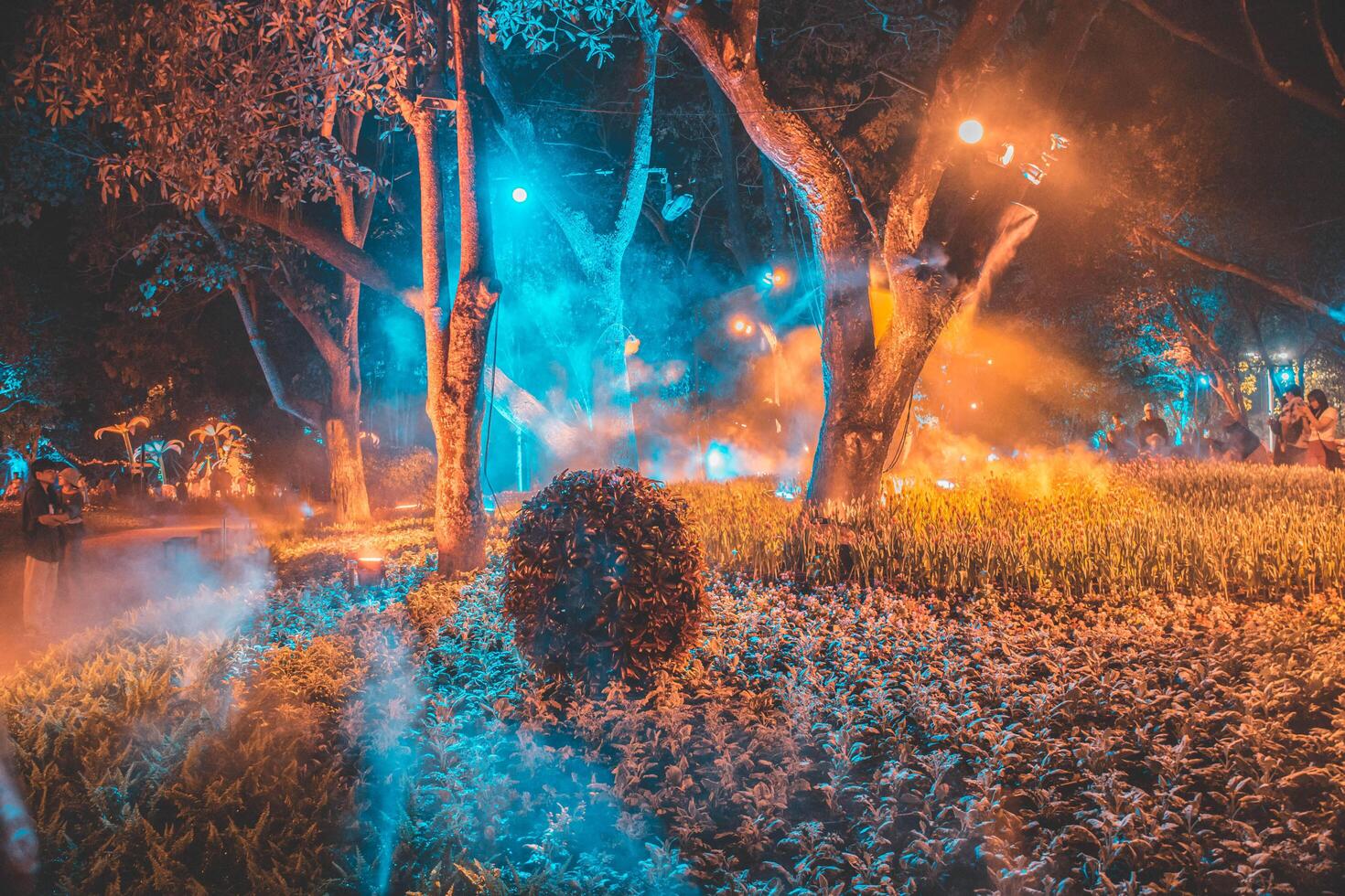 A magical winter night with a glowing tree under a starry sky, Chiang Rai, Thailand. photo