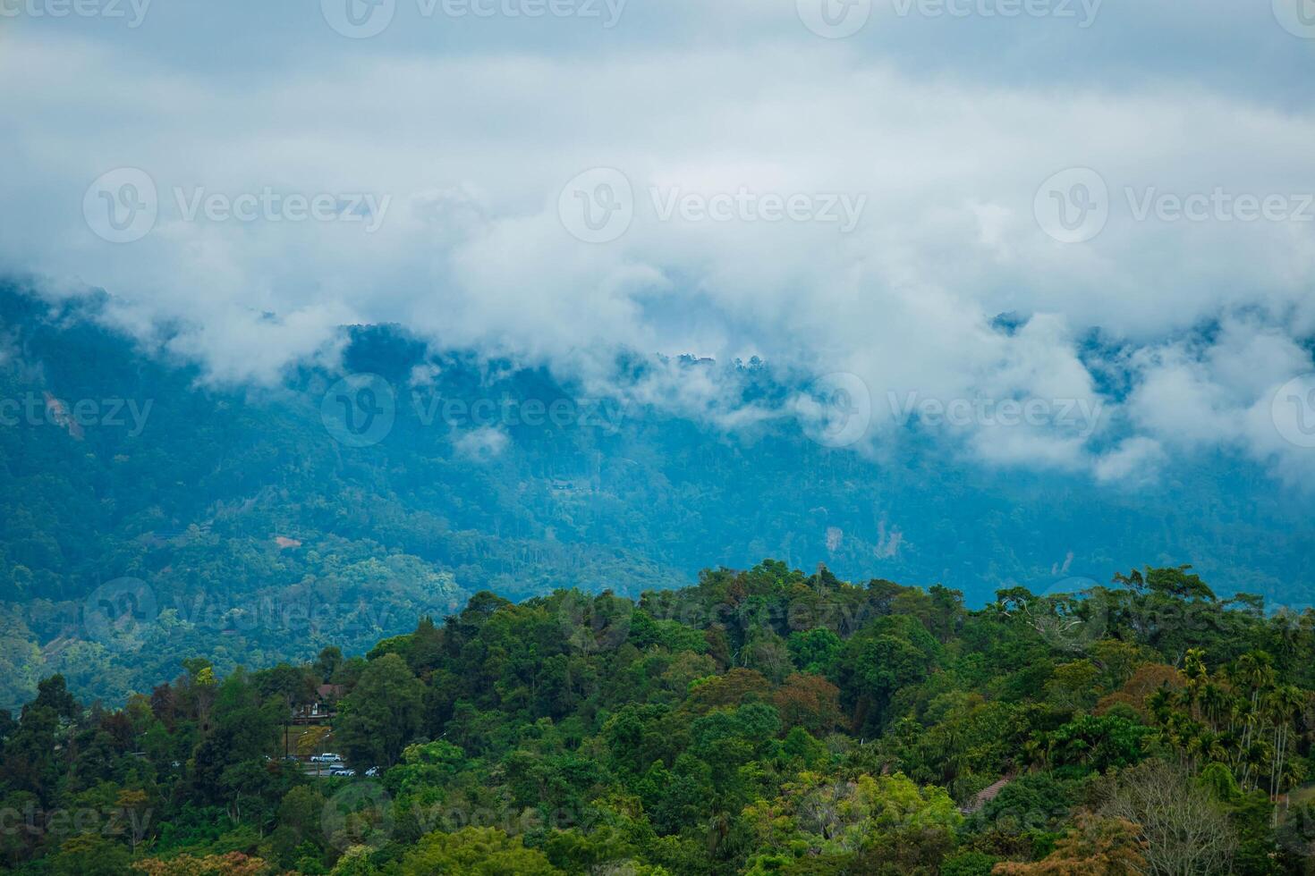Mountain landscape with a clouds on a summer morning. photo