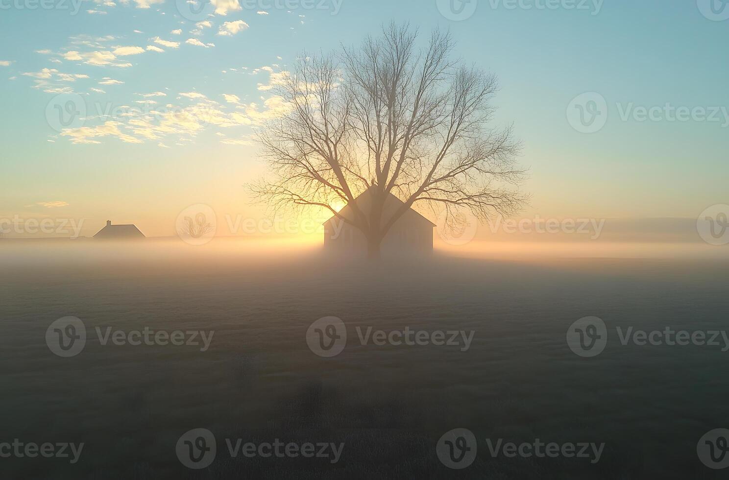 Sunrise Fog Envelops Small Church and Bare Tree photo