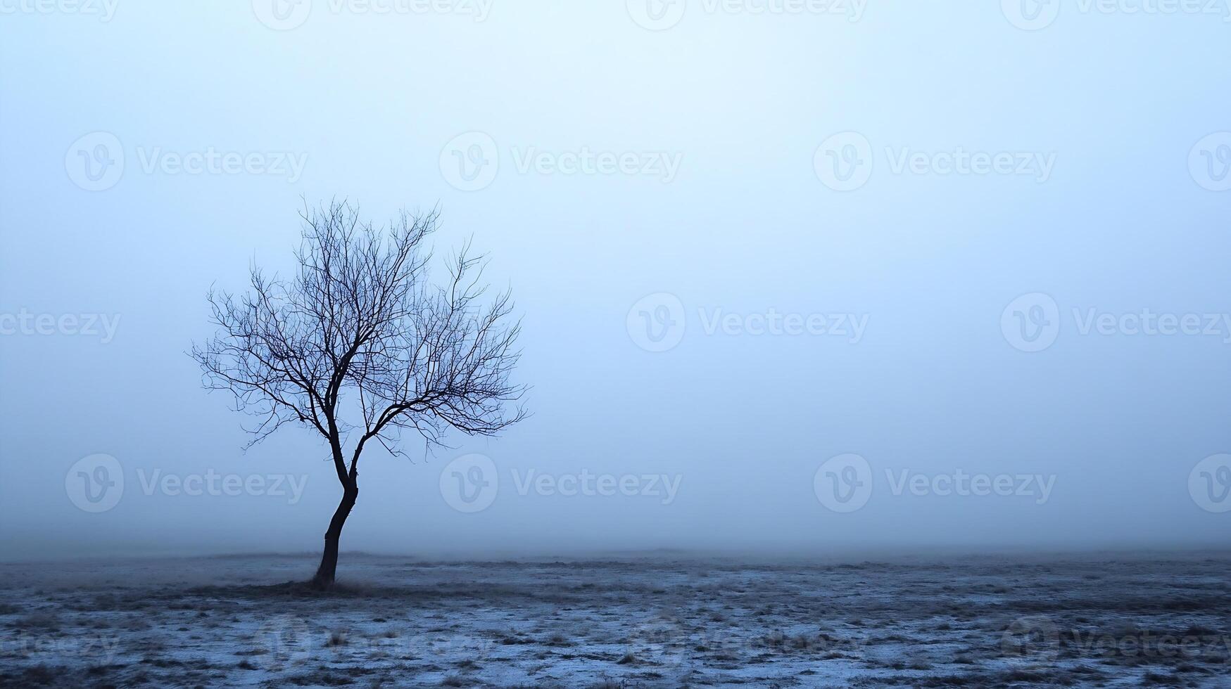 Lonely Bare Tree in Misty Winter Field at Dusk Captivates Minimalist Serenity and Isolation photo