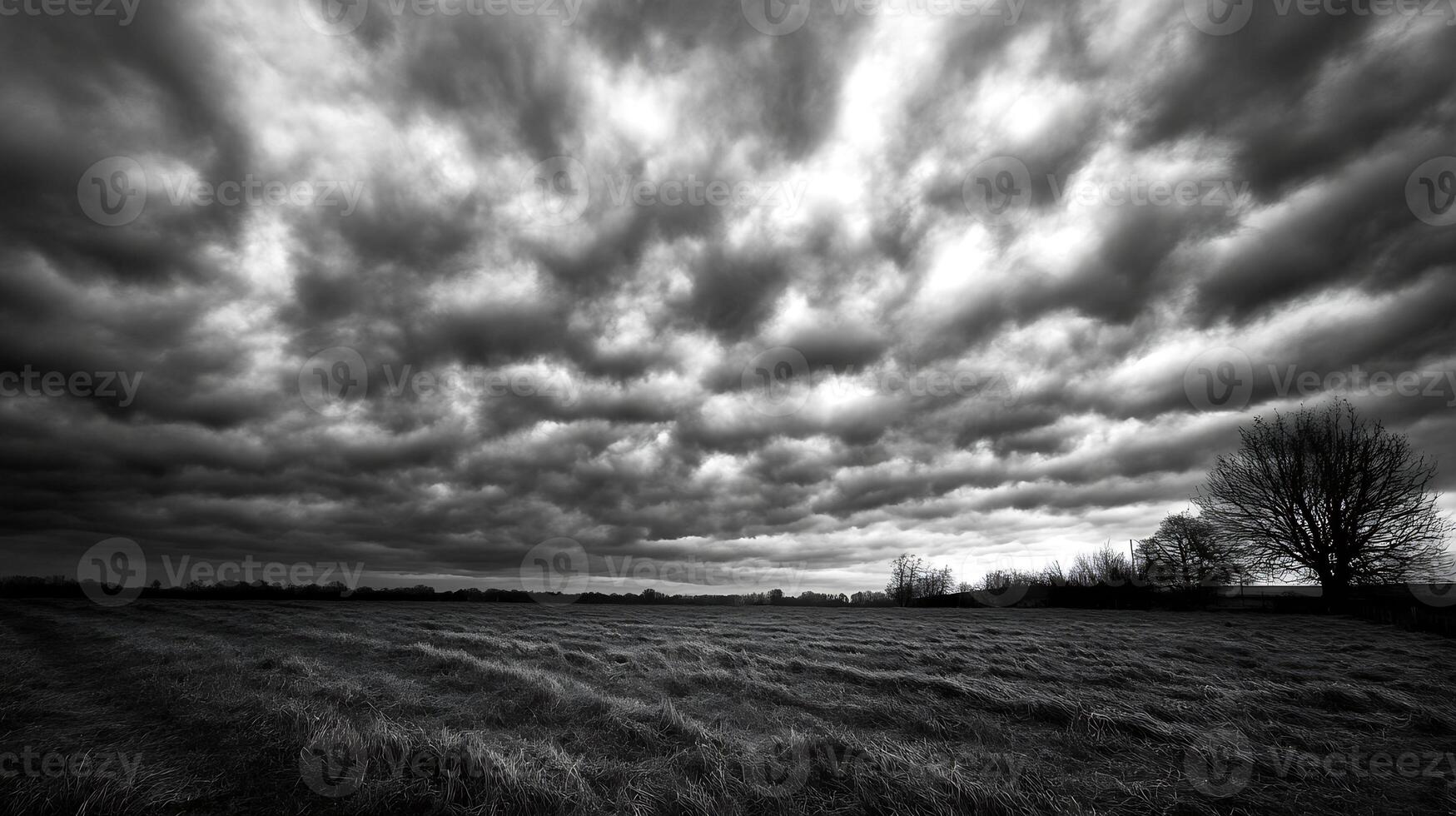 Dramatic Black and White Storm Clouds Over Wide Open Field for Creative and Artistic Background Use photo