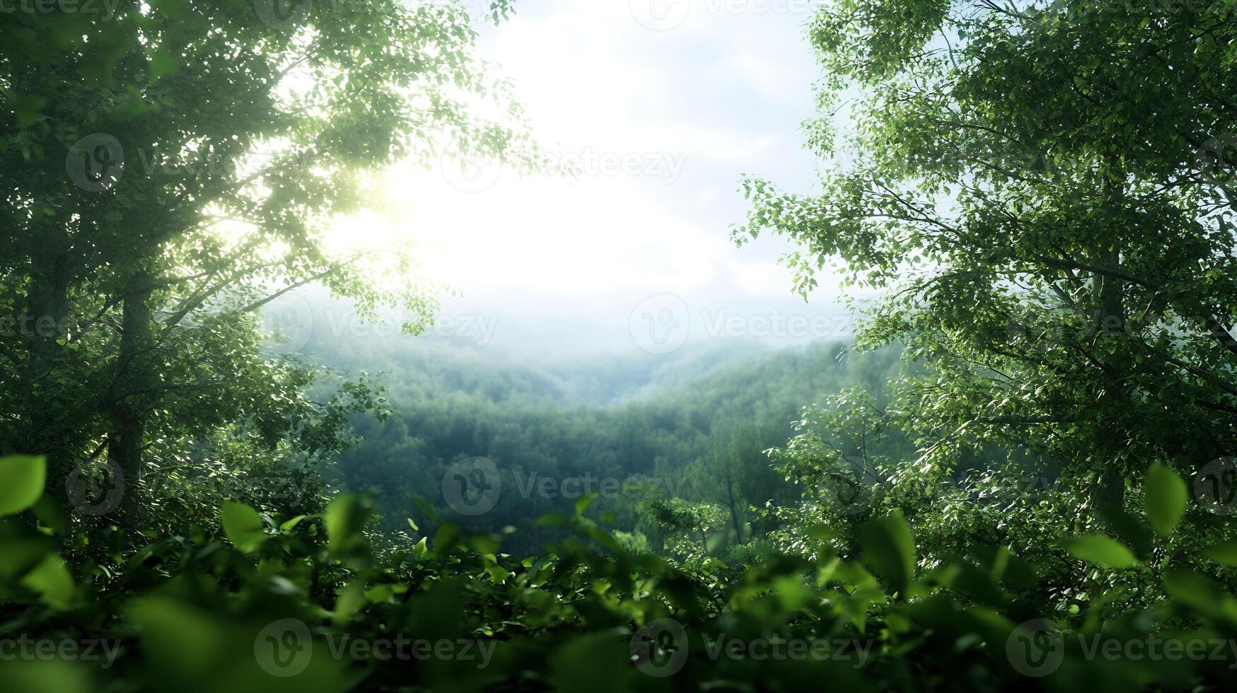 Breathtaking Sunlit Forest Canopy with Misty Distant Hills photo