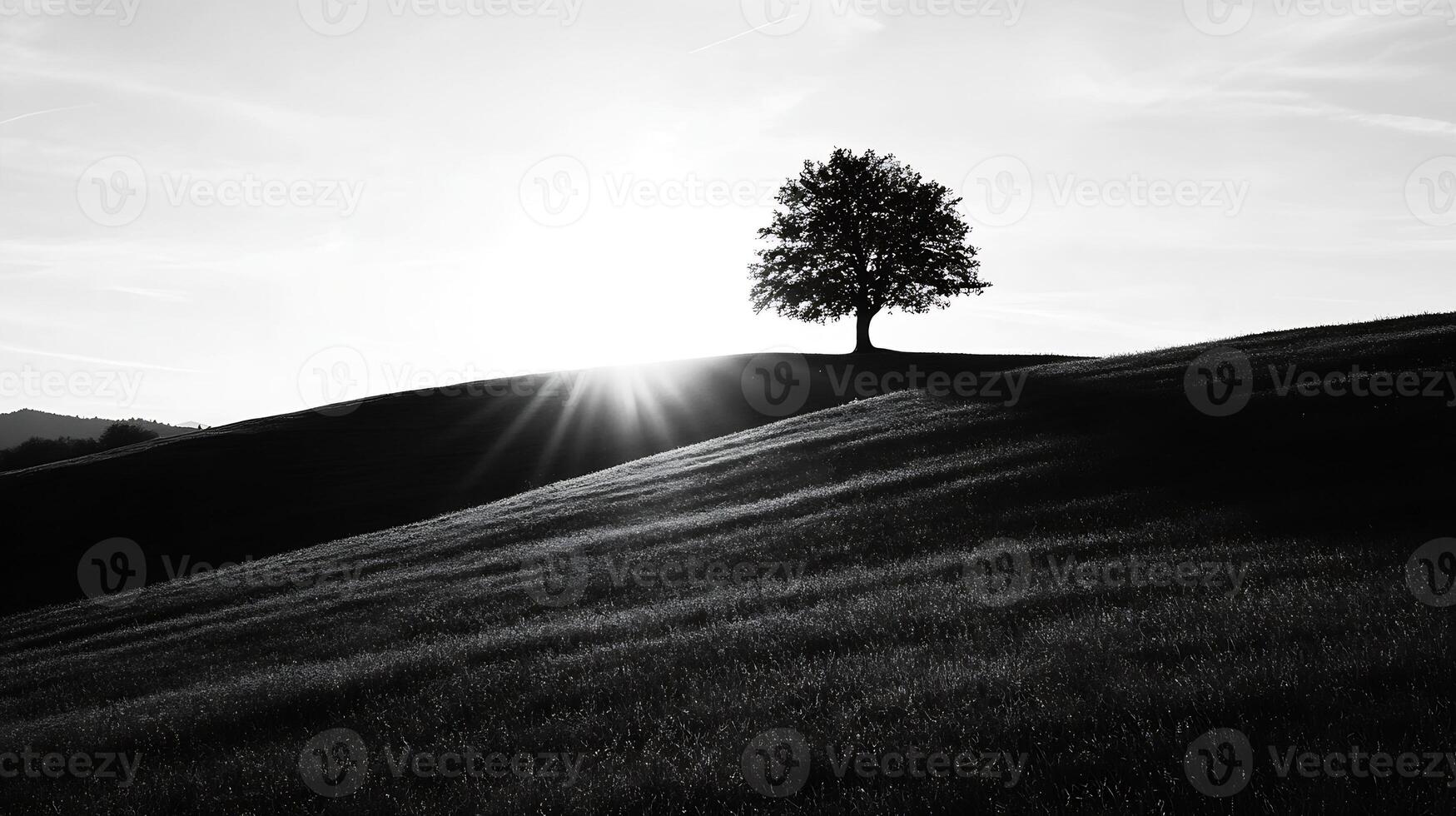 Solitary Tree Silhouetted Against Dramatic Sunrise on Rolling Hills in Black and White photo