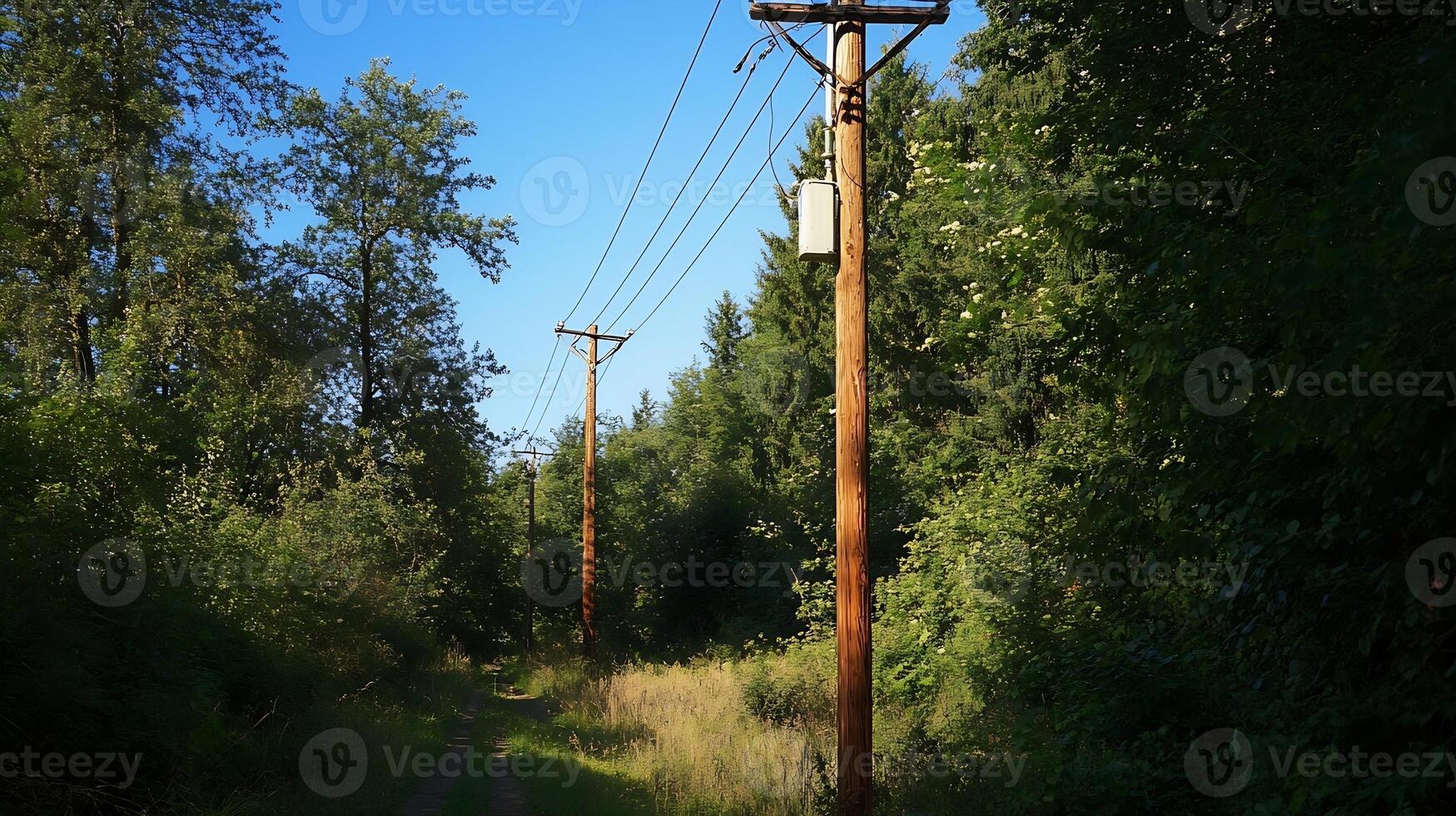 Wooded path with power lines under bright blue sky in rural forested area and summer foliage photo