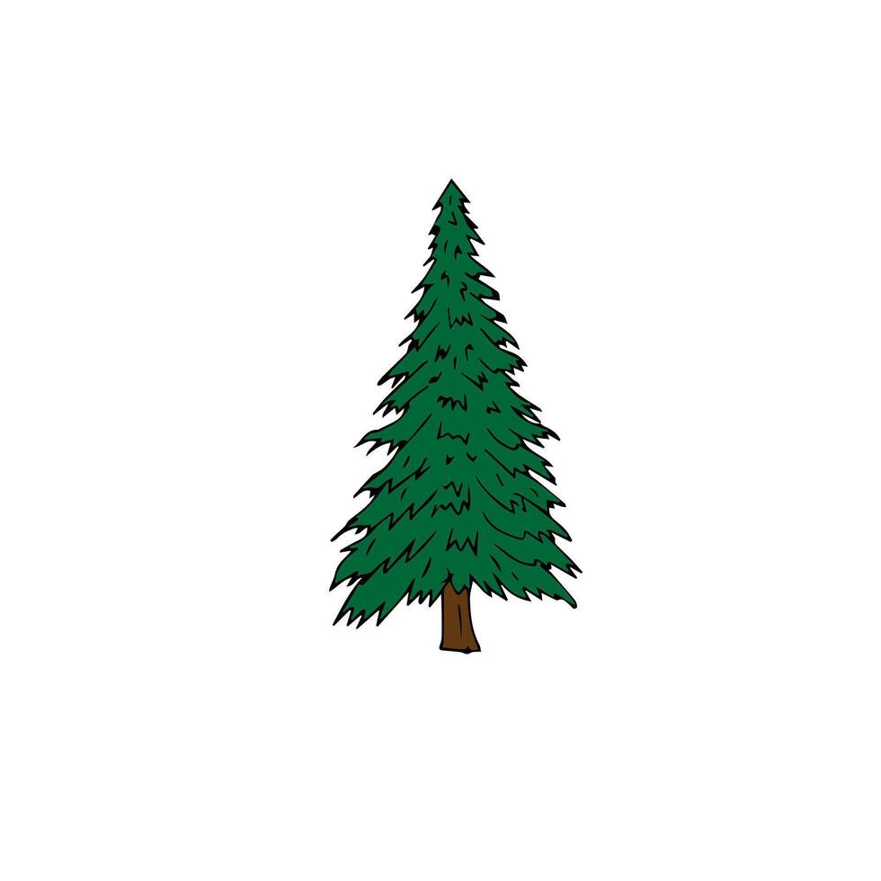 Hand drawn doodle spruce tree vector