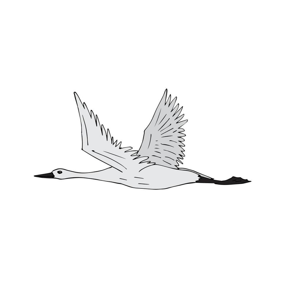 Hand drawn flying crane bird vector