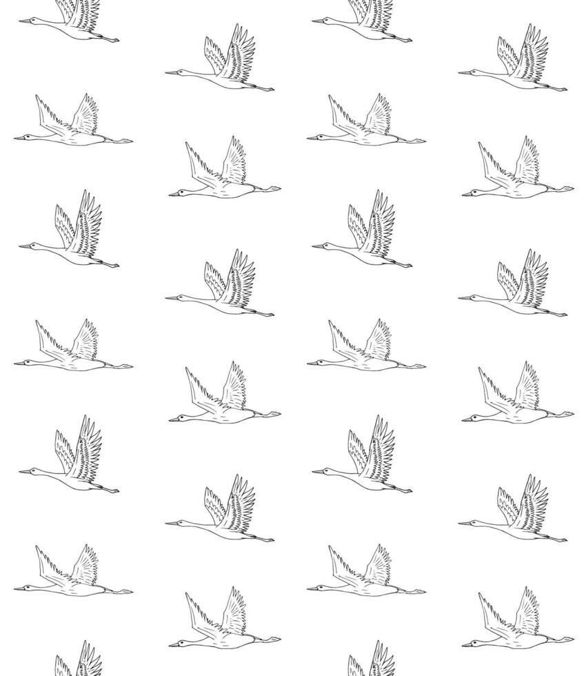 Seamless pattern of hand drawn crane vector