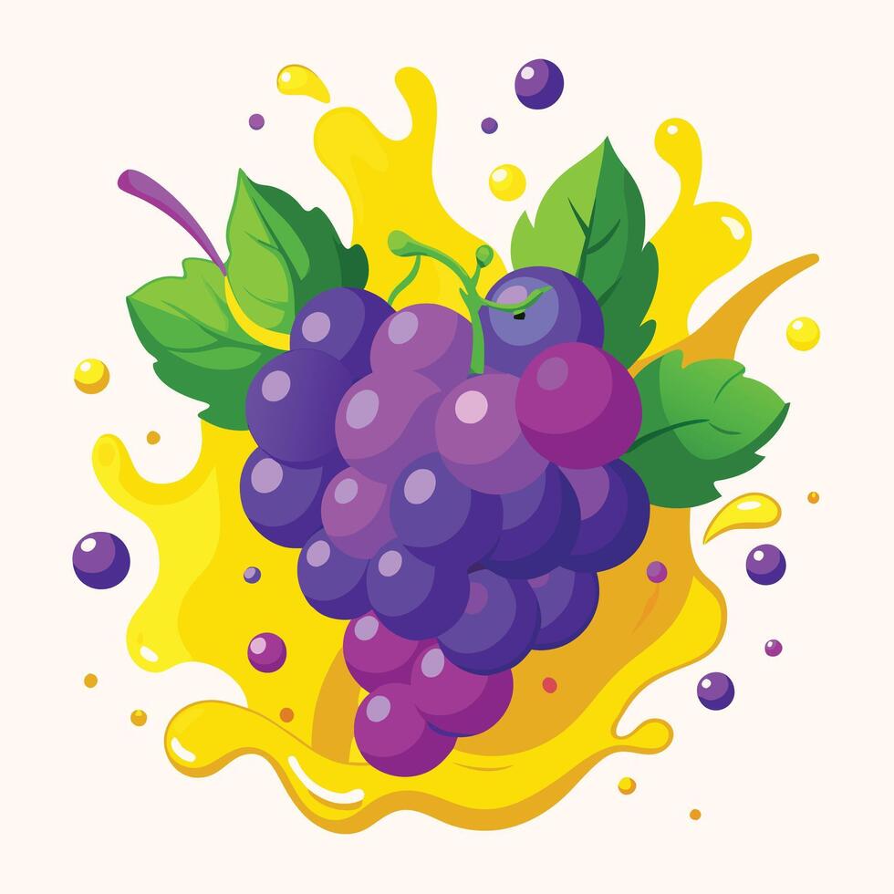 grapes white,red,dark blue with splash. vector