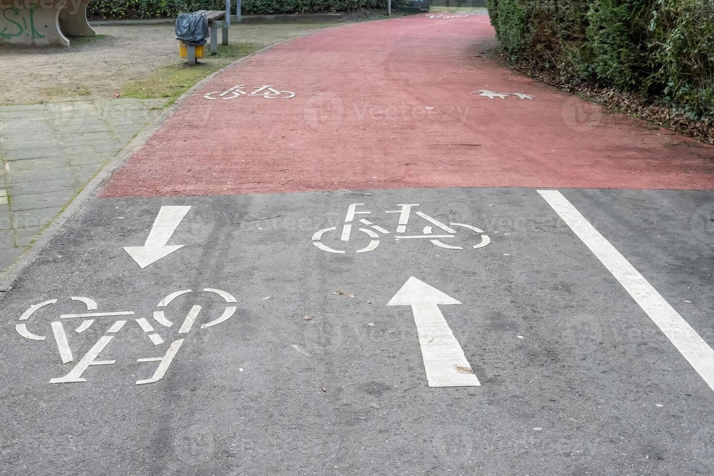 Two way cycle path splitting into two one way lanes with opposite directions photo