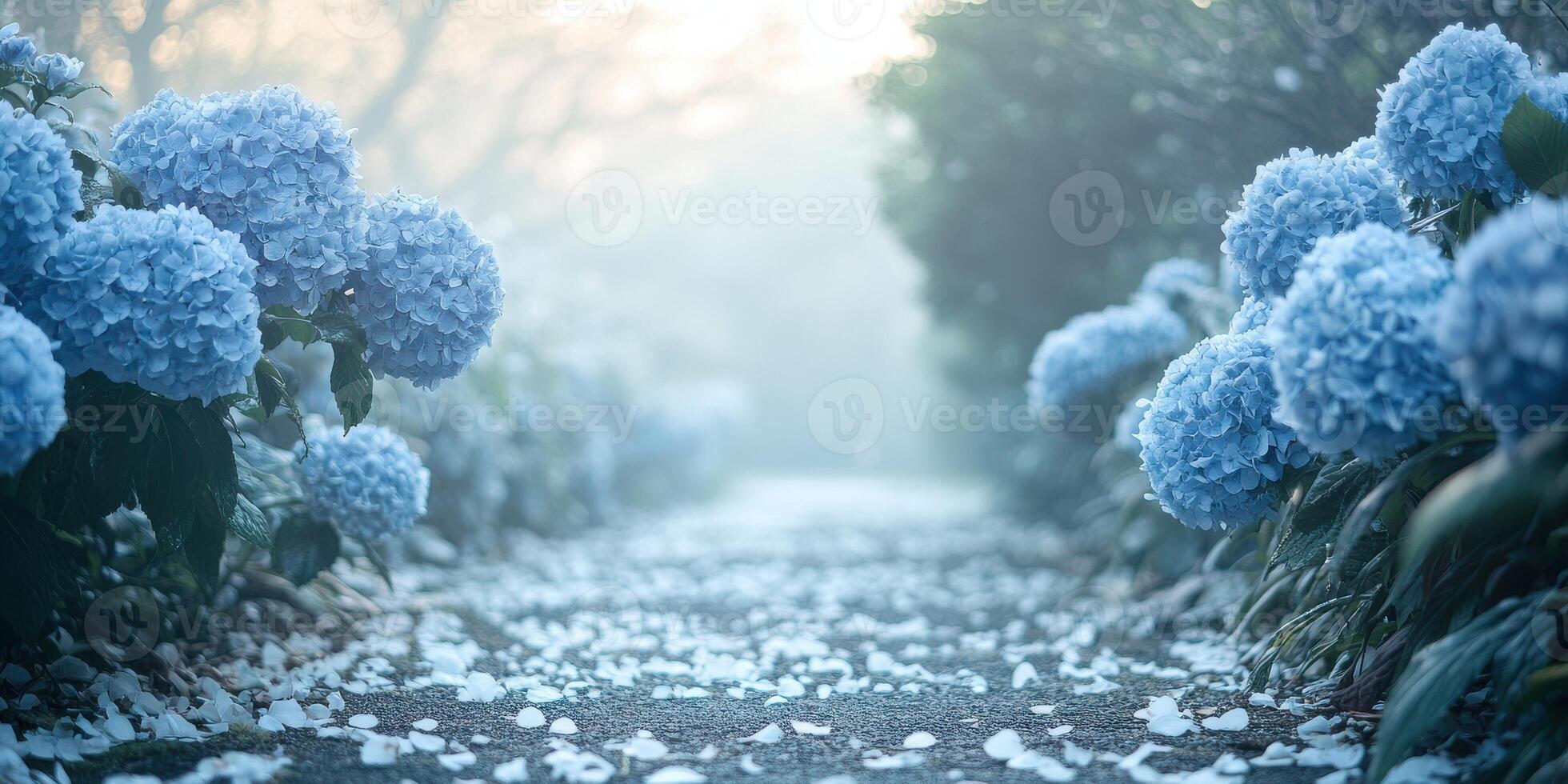 Pathway lined with blue hydrangea blossoms and fallen petals in misty garden photo