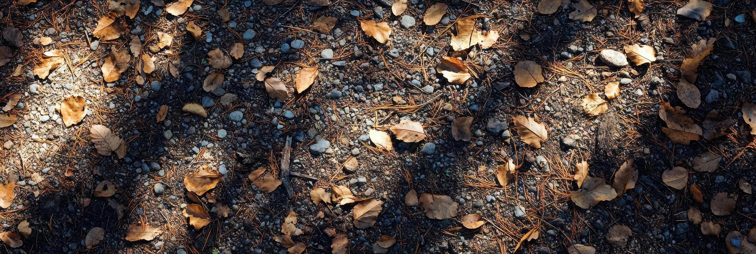 Autumn leaves and pebbles on forest floor with natural shadows photo
