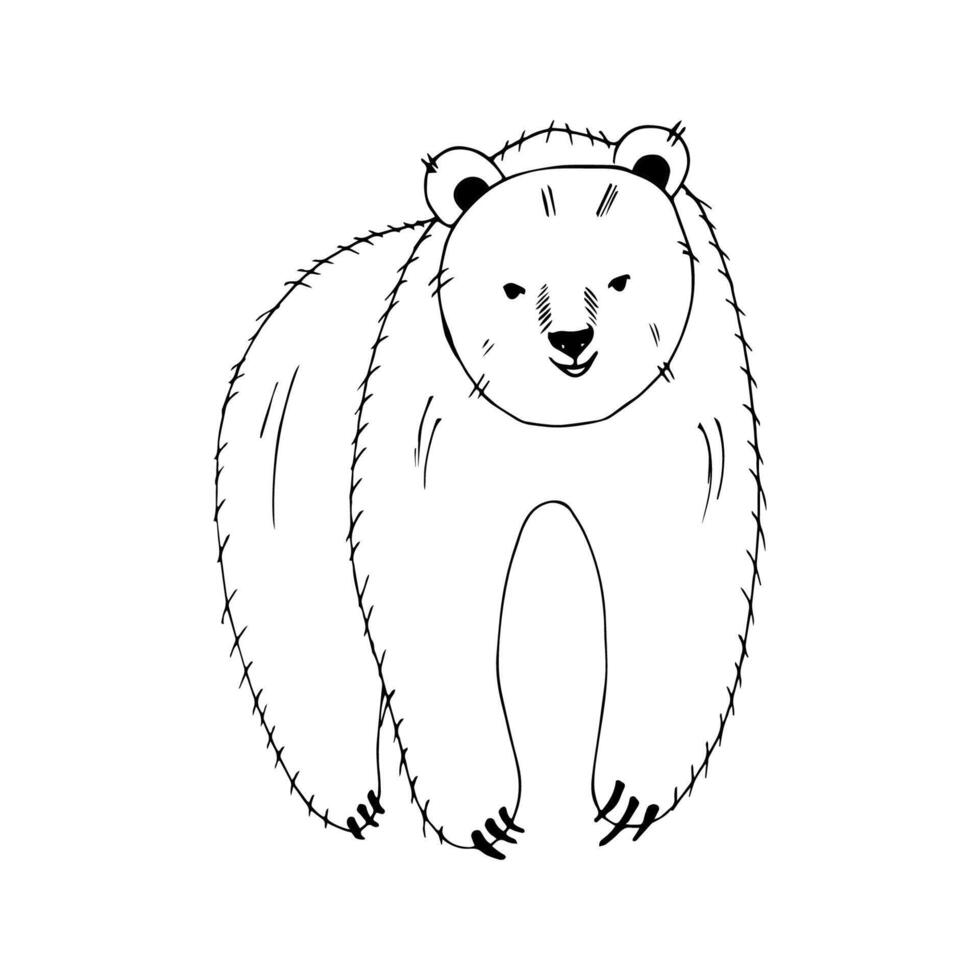 Bear in doodle style on an isolated white background. vector